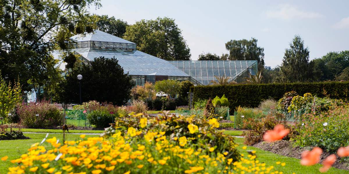 Bergius Botanic Garden Visit Stockholm