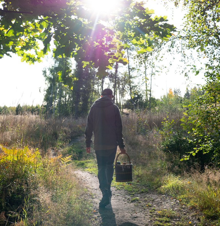 Natur i Stockholm. En man går genom en grönskande skog. Han bär på en korg med fika; termos och bullar.
