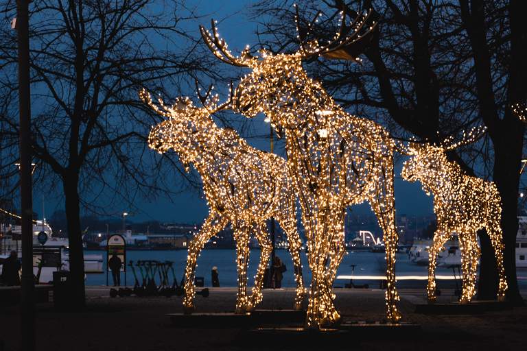 Large moose made up of fairy lights