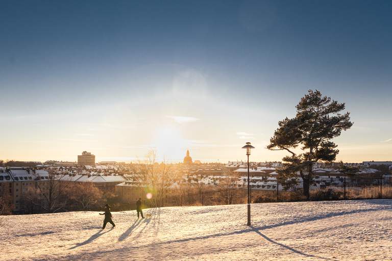 Parks in Stockholm. A scenic view of Vasastan and Östermalm, as seen from Vanadislunden park.