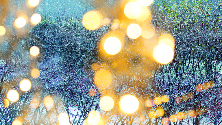 Yellow lights and trees covered with snow.