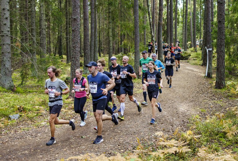 A big group of people running in a green area.