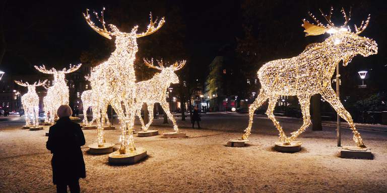 Christmas lights in Stockholm