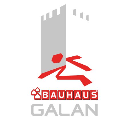 BAUHAUS-galan's logo