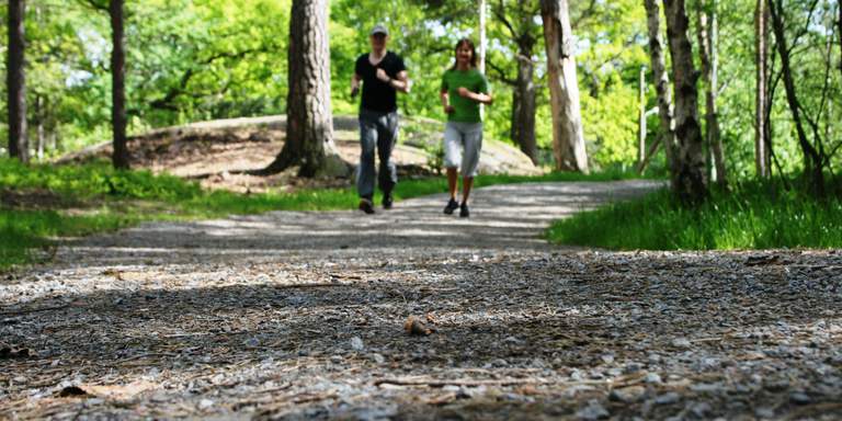 Summer in Stockholm. A man and a woman is jogging towards the camera, along a forest trail in the forest of the Nacka nature reserve.