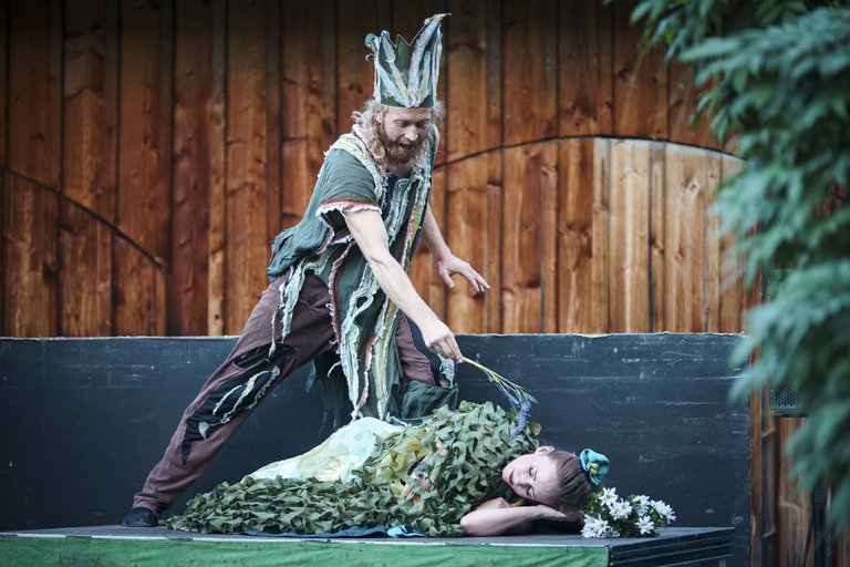 5MidsummerNightsDreamAustria-0624.jpg