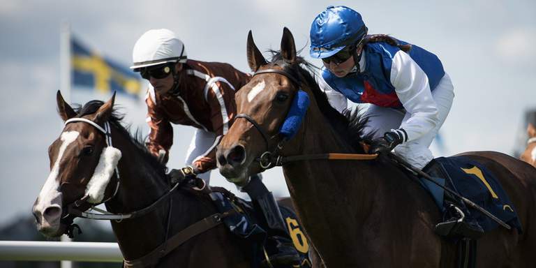 Nationaldagsgaloppen - The national day gallop
