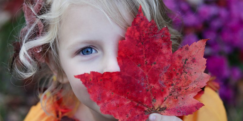 A girl holds a red fall leaf in fron of her face.