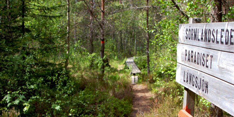 Hiking trails