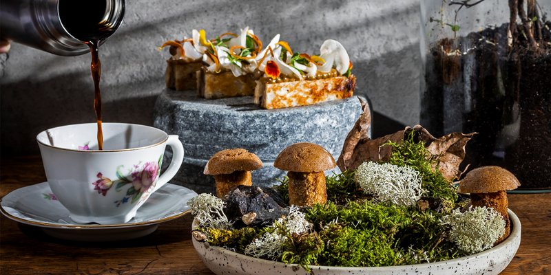 A plate with mushrooms in a moss and a hand pouring up coffe from a thermos into a nice cup. A tree and some other small bites of food in the background. From Michelin restaurant Etoile in Stockholm.