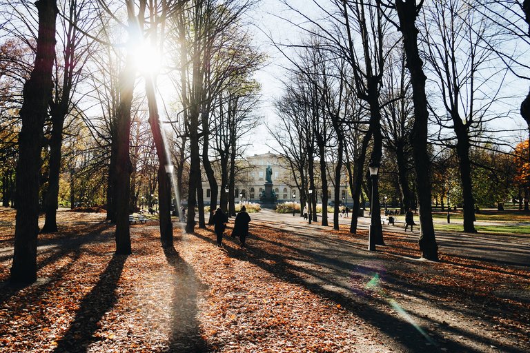 A sunny autumn day in Stockholm's central Humlegården park.