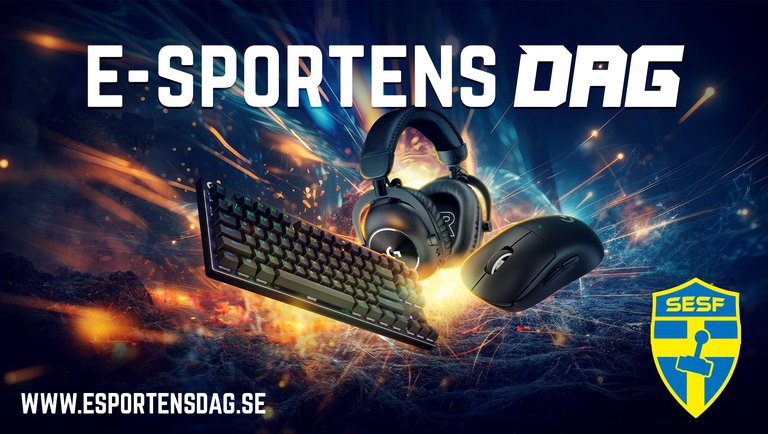 Bild.jpg