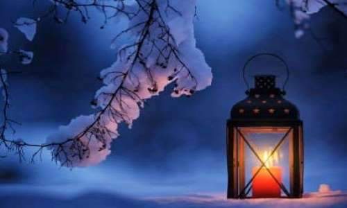 A lantern with a candle, tree branches covered with snow.