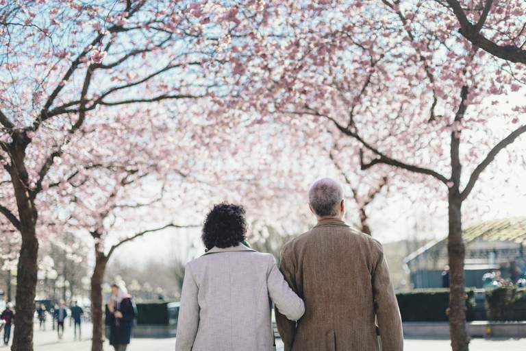 Spring in Stockholm. A middle-aged couple, backs turned against the camera, take a walk amongst the blossoming cherry trees of Kungsträdgården.