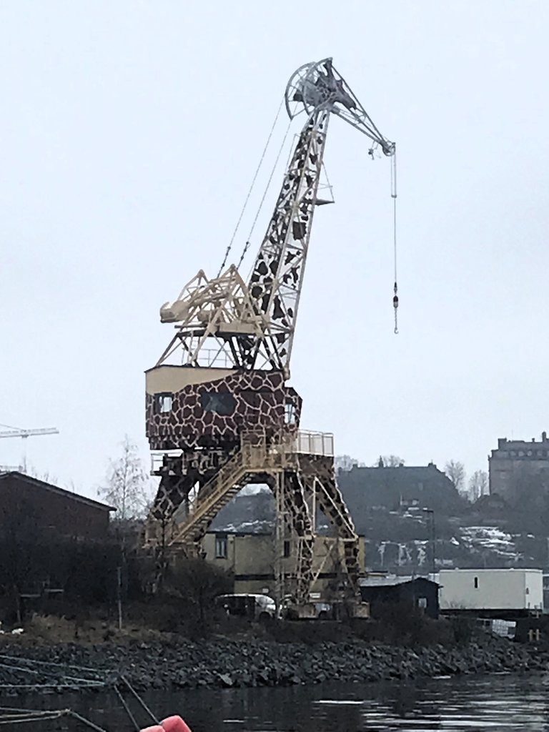 Giraff.jpg