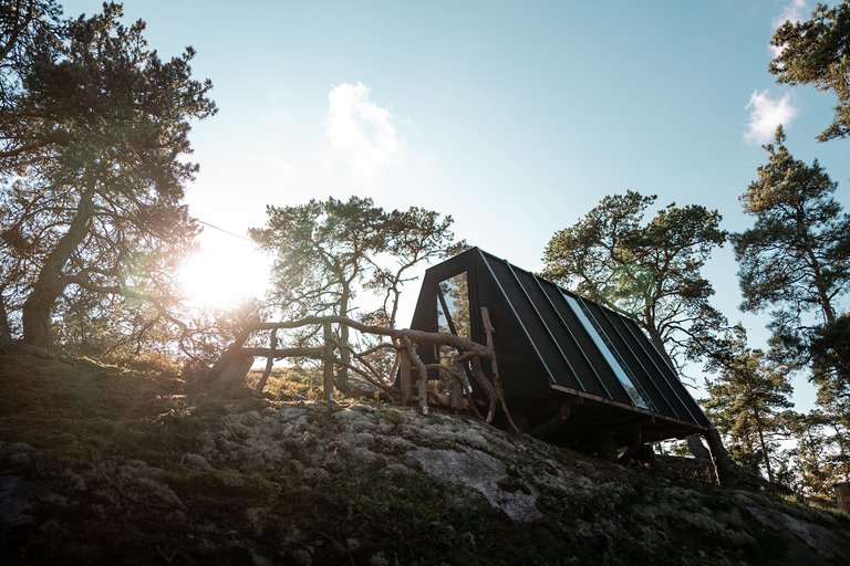 A modern cabin perches on a rocky hill, surrounded by pine trees, with the sun peeking through the branches.