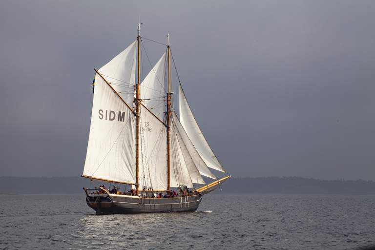 A sailing boat.