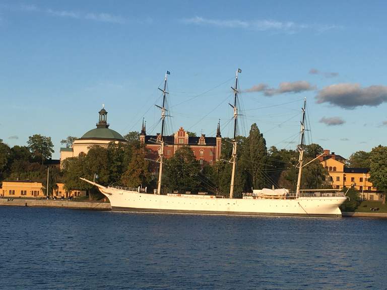 A ship by the shore with trees and houses.