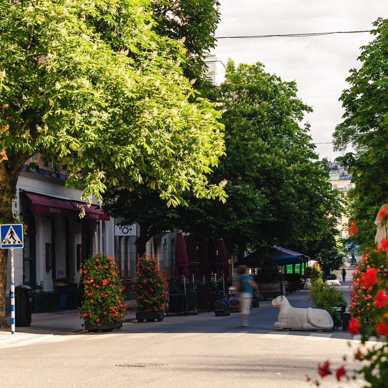 Summer in Stockholm. Swedeborgsgatan street on Södermalm, summertime. Early morning.