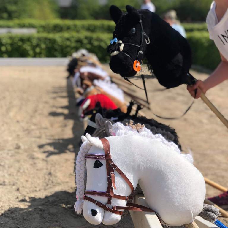 Stick horses.