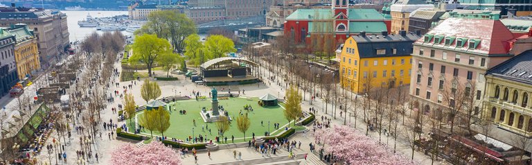 Blooming cherry trees and a sculpture in a park