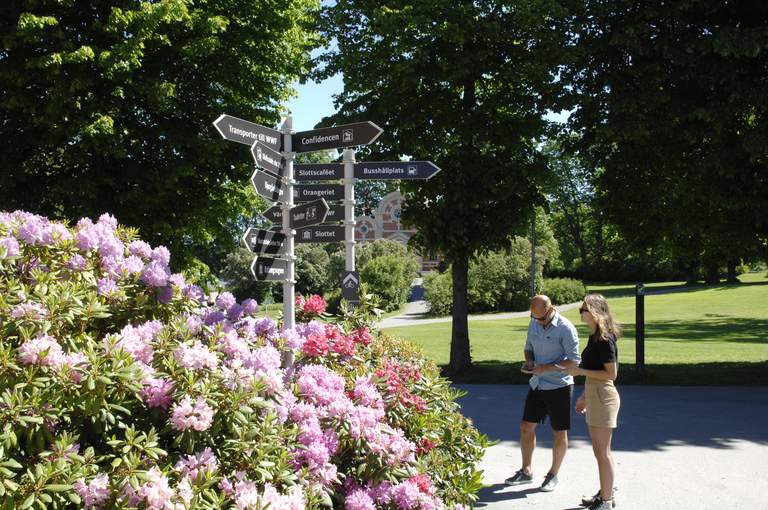 Two people in a park, in front of a large green bush with pink and purple blooming flowers.