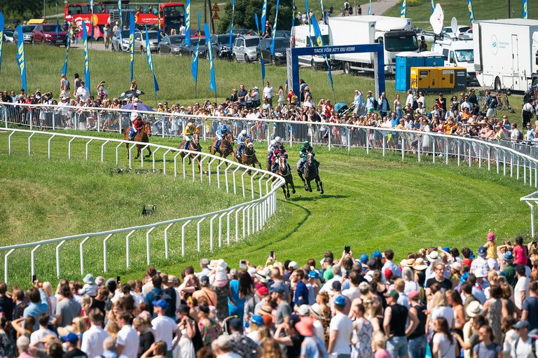 Public watching horse race.