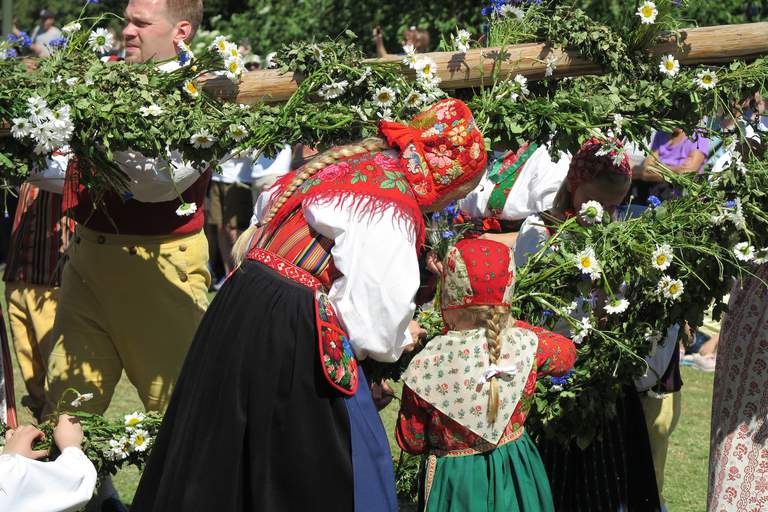 People in Swedish national costumes are raising a leafy maypole.