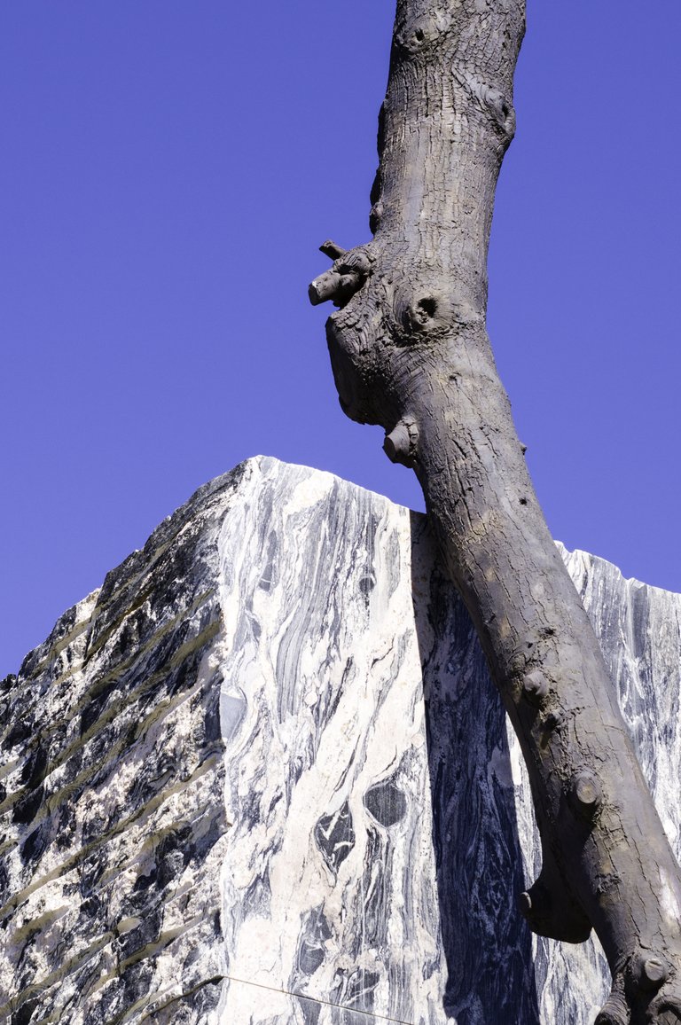 sculpture of a tree