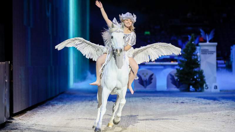 Sweden Horse Show