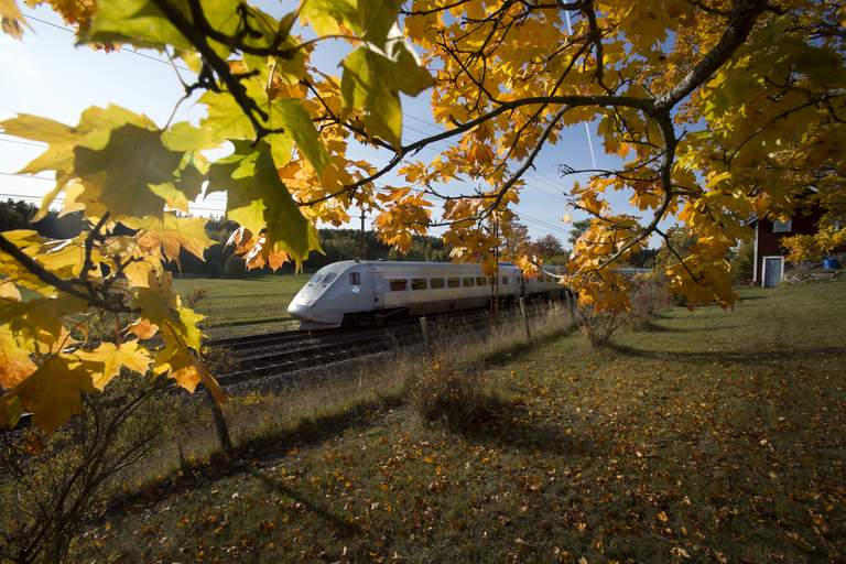 Travelling to Stockholm. A X2000 train speeds along tracks in Sweden. Autum leaves can be seen in the foreground.
