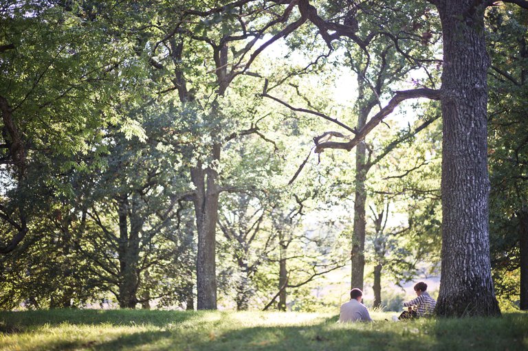 Two people enjoy a picnic in a park in Stockholm