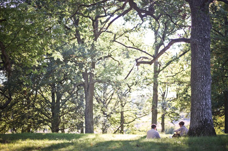 Two people enjoy a picnic in a park in Stockholm, summer.