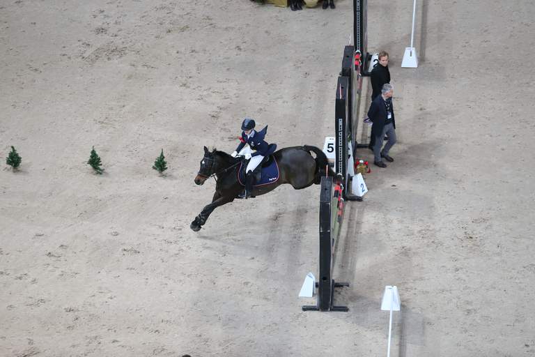 A horse jumping over an obstacle in an arena, seen from above