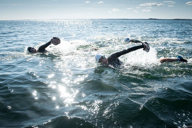 Two swimmers in wetsuits are actively swimming in the open sea, with sun sparkles on the water.