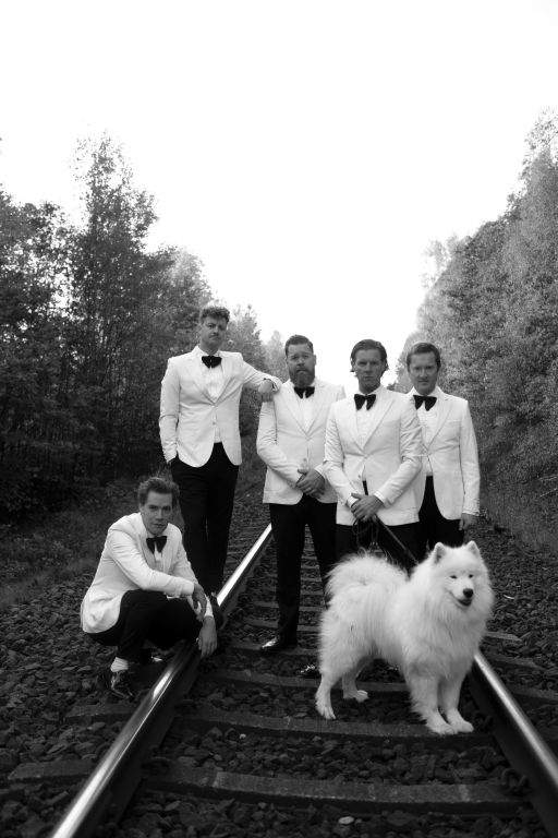 The band The Hives and a white dog standing on railway track