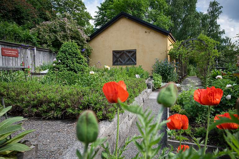 Vasamuseets trädgård 2.jpg