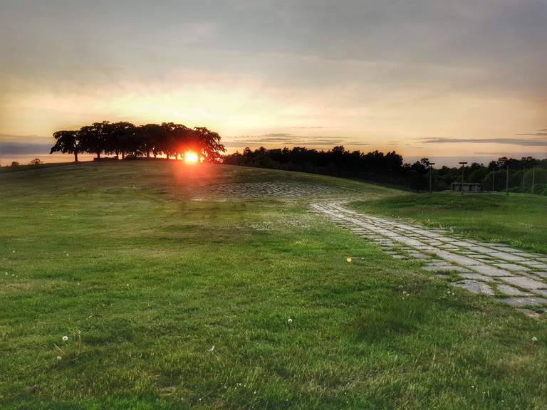 Verdeverdetravel_skogskyrkogården_almhöjden_solnedgång_20190604_211354-01.jpeg