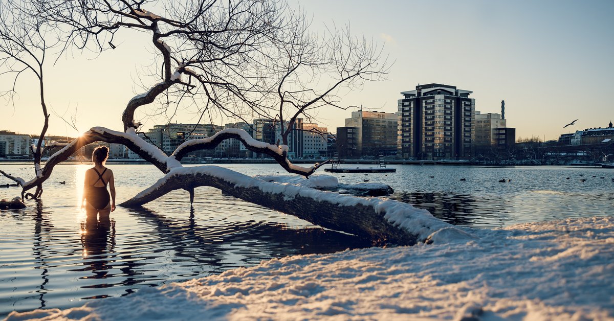 Winter Swimming in Stockholm – Visit Stockholm