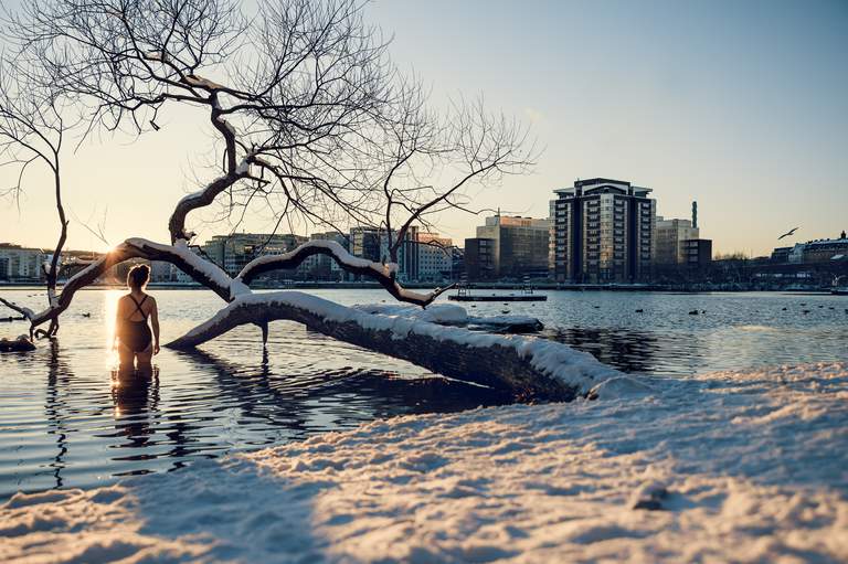 A person wearing a black bathing suit is standing in the water by a beach covered in snow, the sun is shining