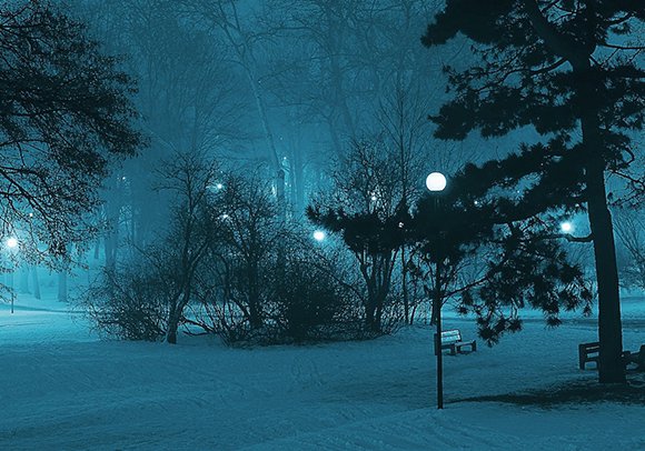 Winter night in a park.