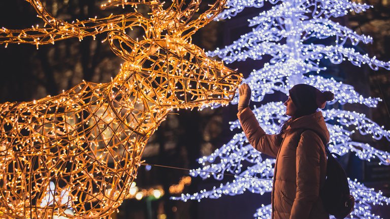 A Christmas tree, a statue of moose decorated with lamps and a person in winter clothes.