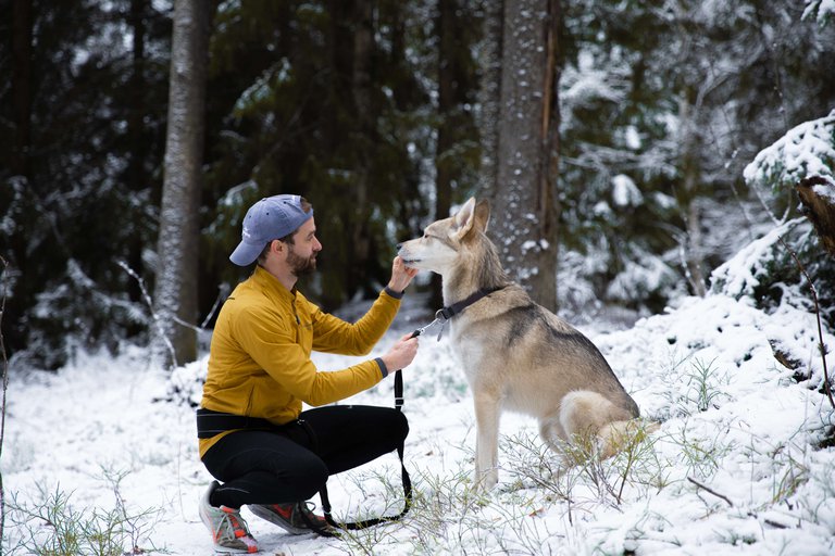 A man taking a run with his dog in the forest. The forest is cowered in snow.