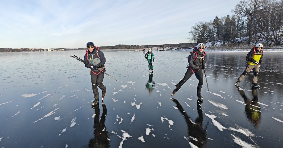 A Day on the Ice - Guided Tour