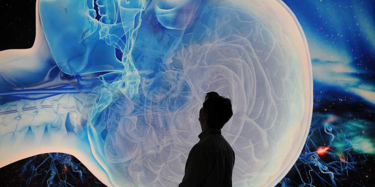 A silhouette of a man looking at a large picture depicting the human brain. The picture is taken at an exhibition about the human body at the Swedish Museum of Natural History in Stockholm.
