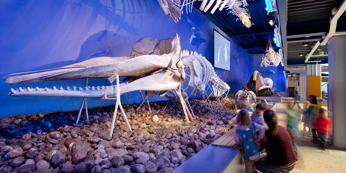 Swedish Museum of Natural History and Cosmonova - Visit Stockholm