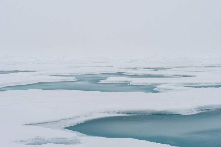 The sea covered with ice and snow