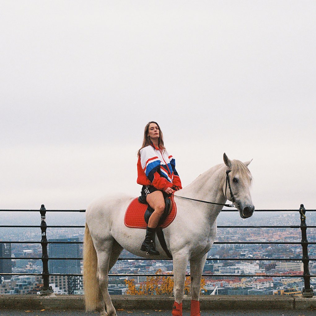 Anna of the North, riding a white horse, on a hill above a city.