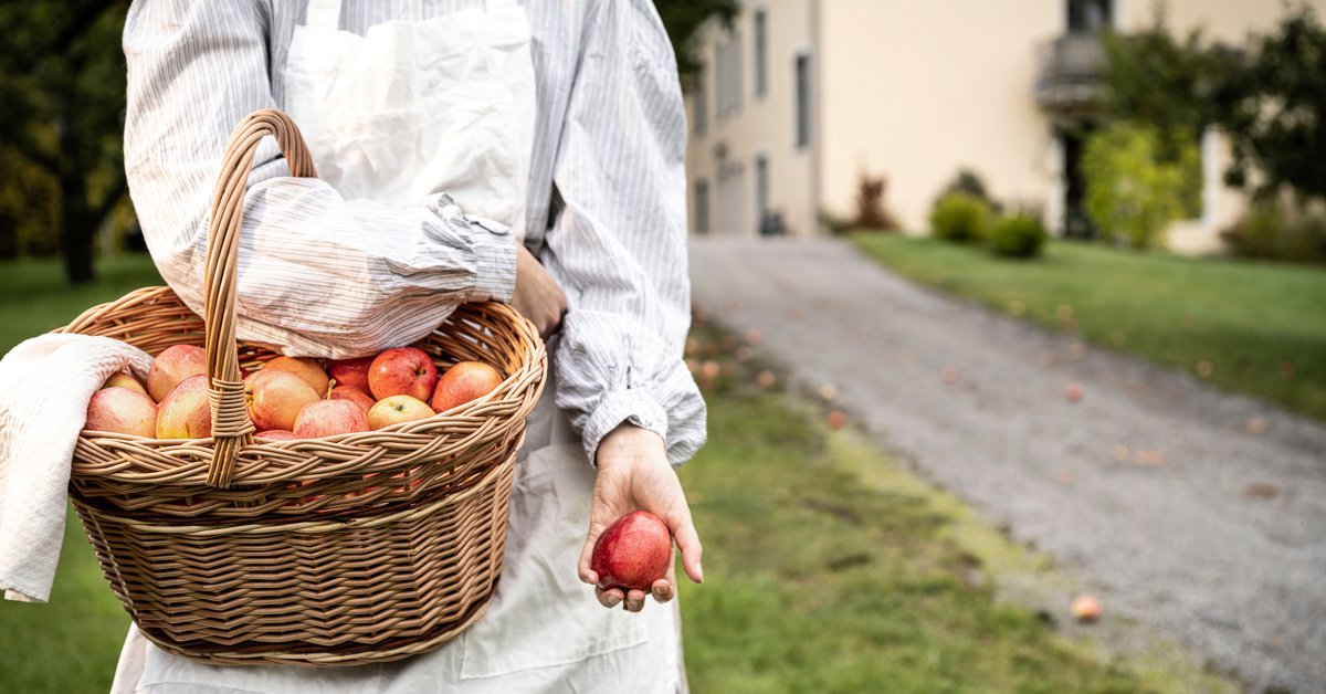 Apple Days at Tumba Paper Mill Museum