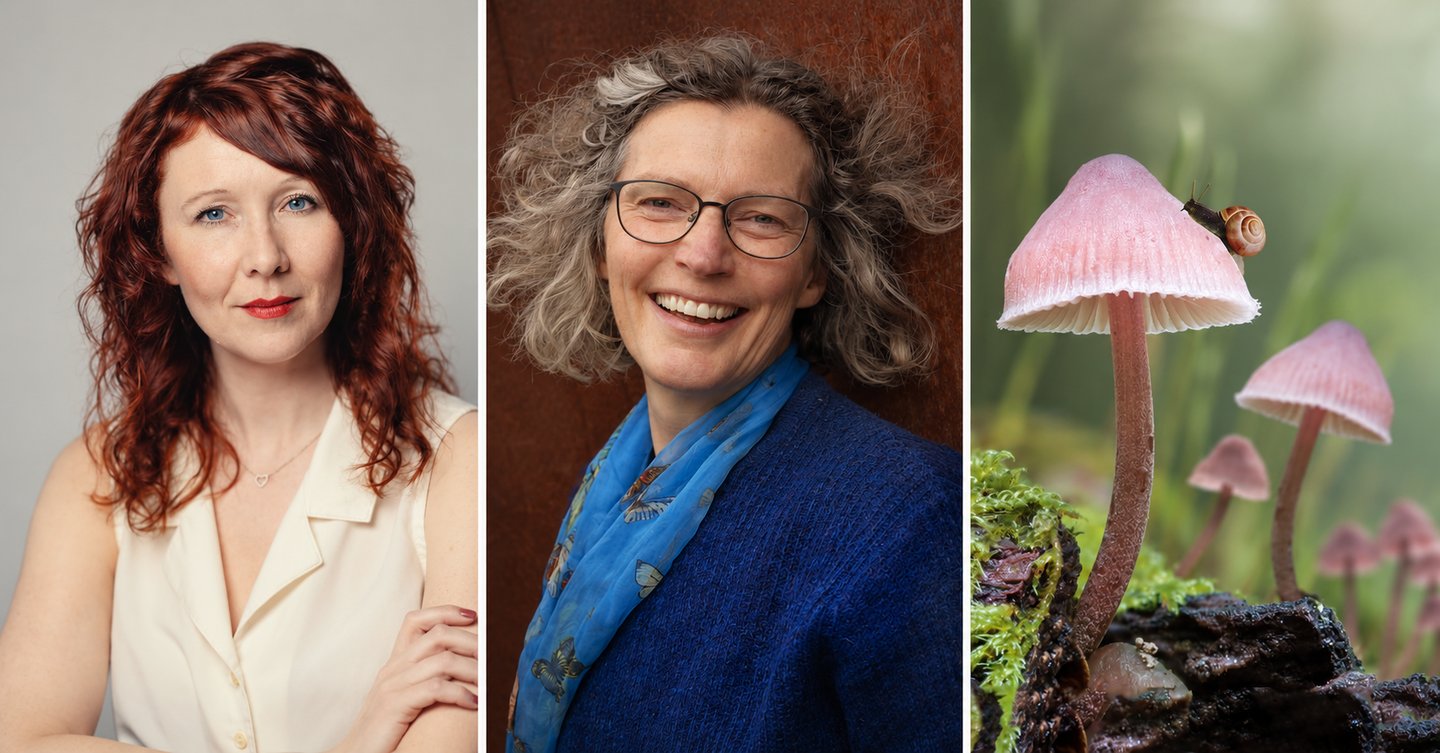 Author Talk & Film Screening: The Secret Life of the Forest